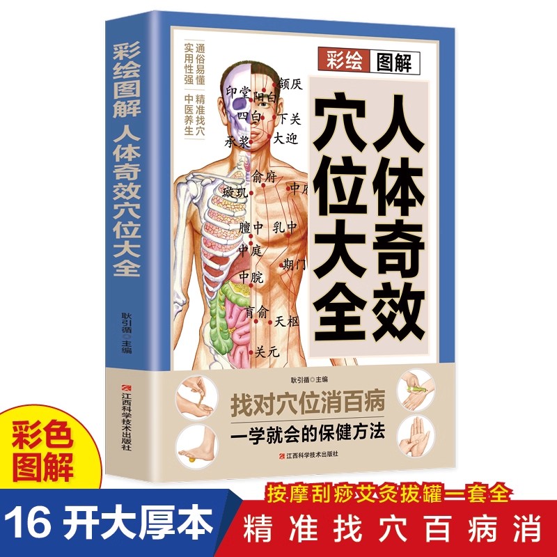 Acupoint Massage & TCM Health  - Health & Wellness Vector recension och pris